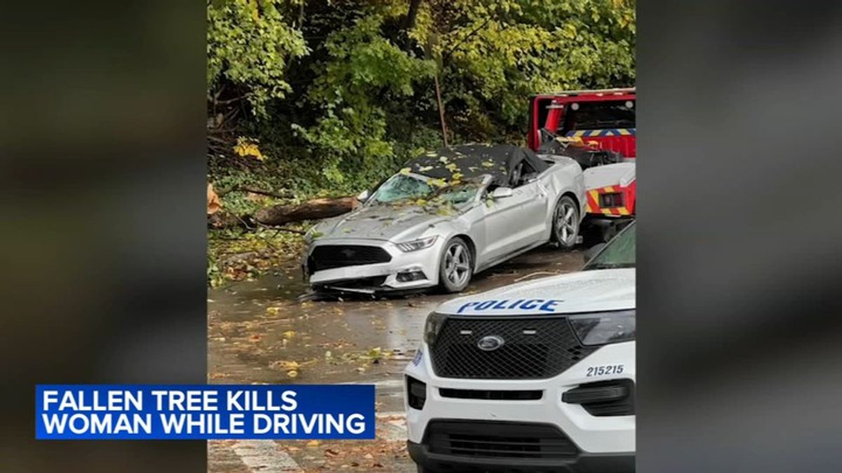 Woman killed after tree falls on moving car in Philadelphia's East ...