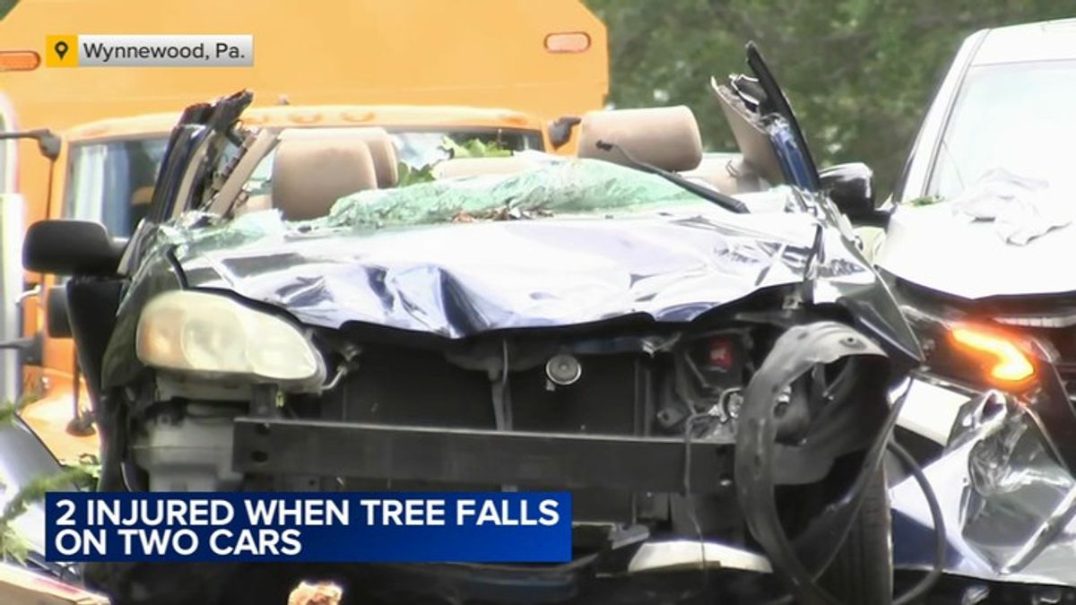Woman killed, another hurt after tree falls on vehicles in Wynnewood ...
