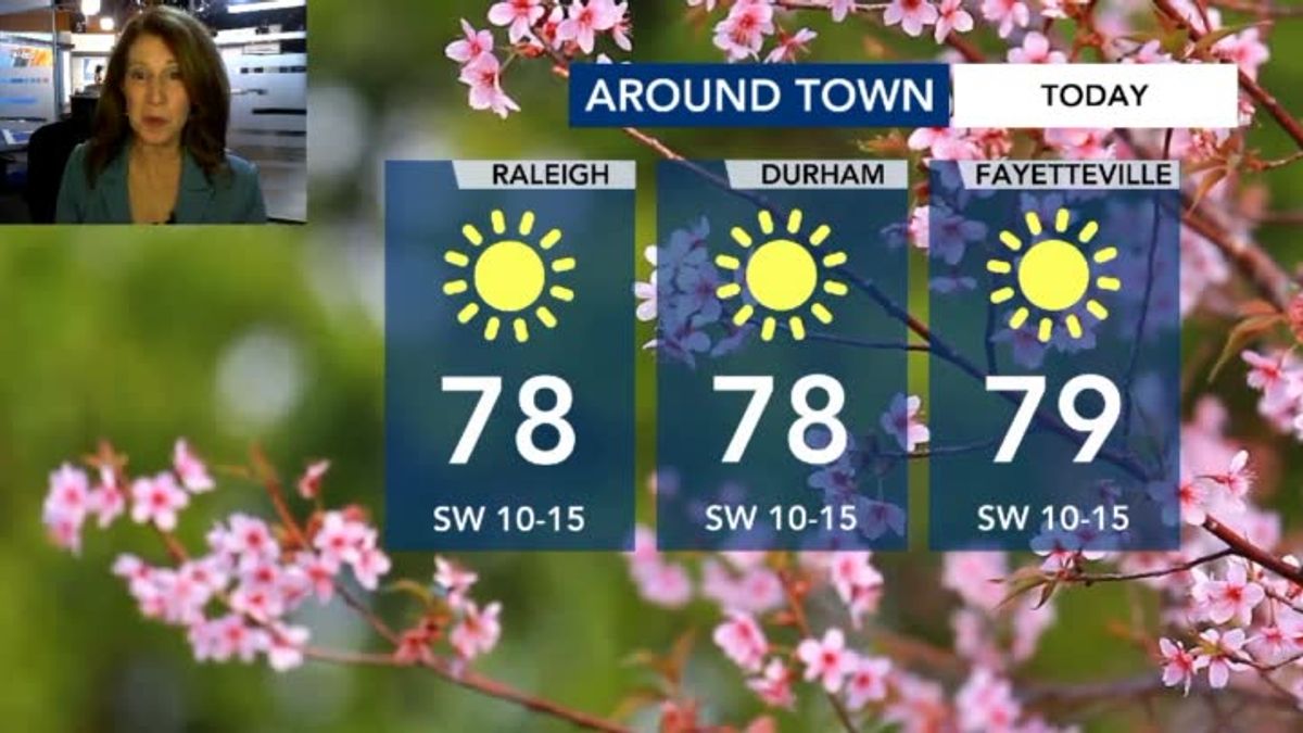 WRAL WeatherCenter Forecast | Haystack News