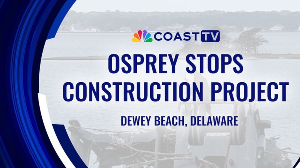 New nest: Osprey claims crane in Dewey Beach, town hall project pays ...