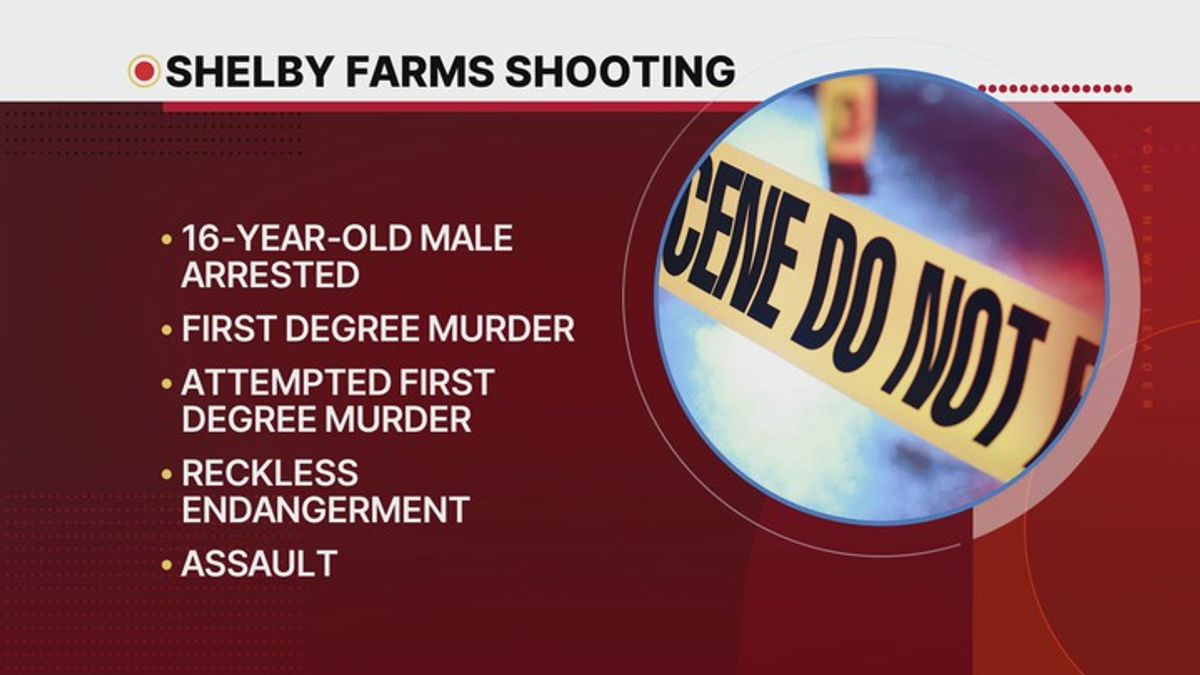 Teen charged with murder in Shelby Farms skip day shooting | Haystack News
