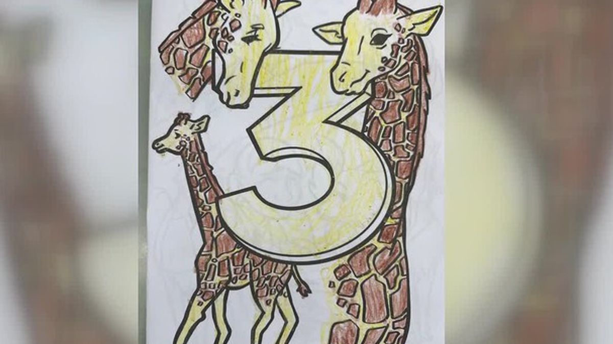 4th winner chosen in Vance Law Firm coloring book contest | Haystack News