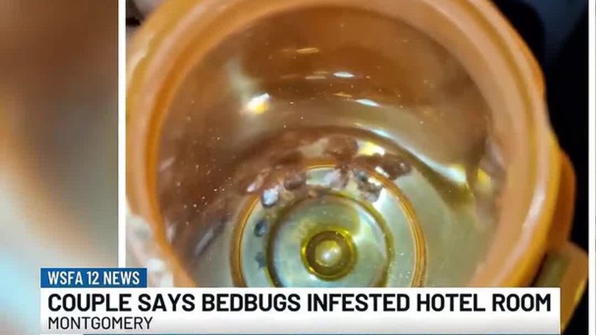 ‘Traumatized’: Woman claims bedbugs at Montgomery hotel forced her to ...