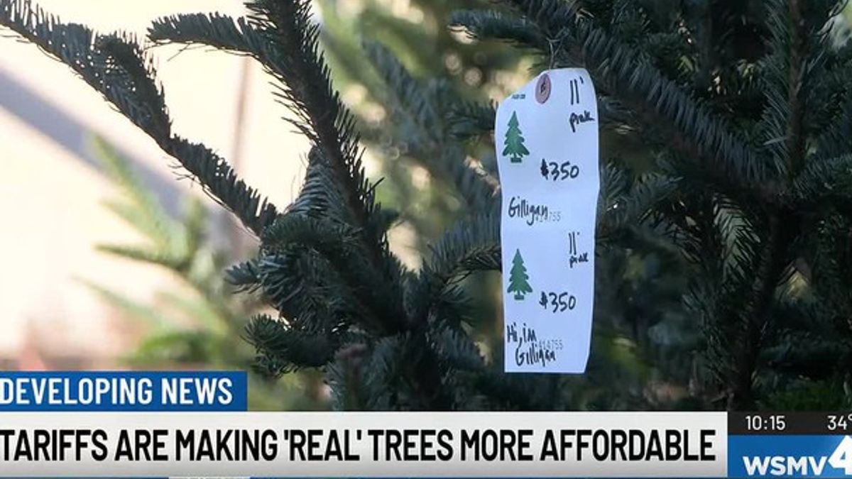 Tariffs are making 'real' trees more affordable | Haystack News