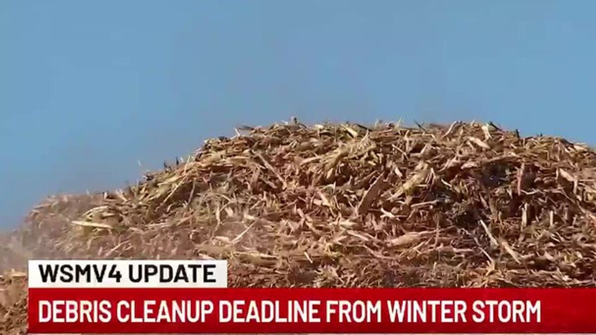 Nashville winter storm debris cleanup enters third round | Haystack News