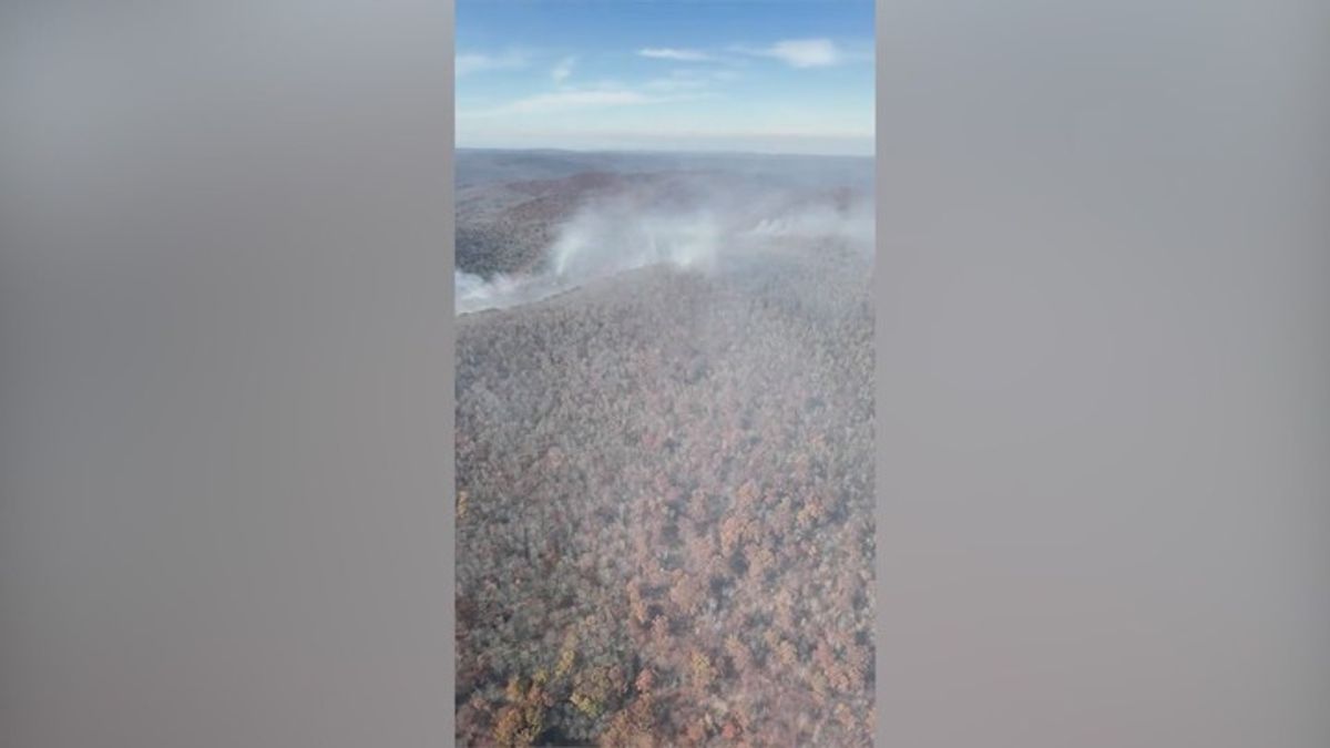 Berlin resident sounds alarm after discovering wildfire in the woods ...