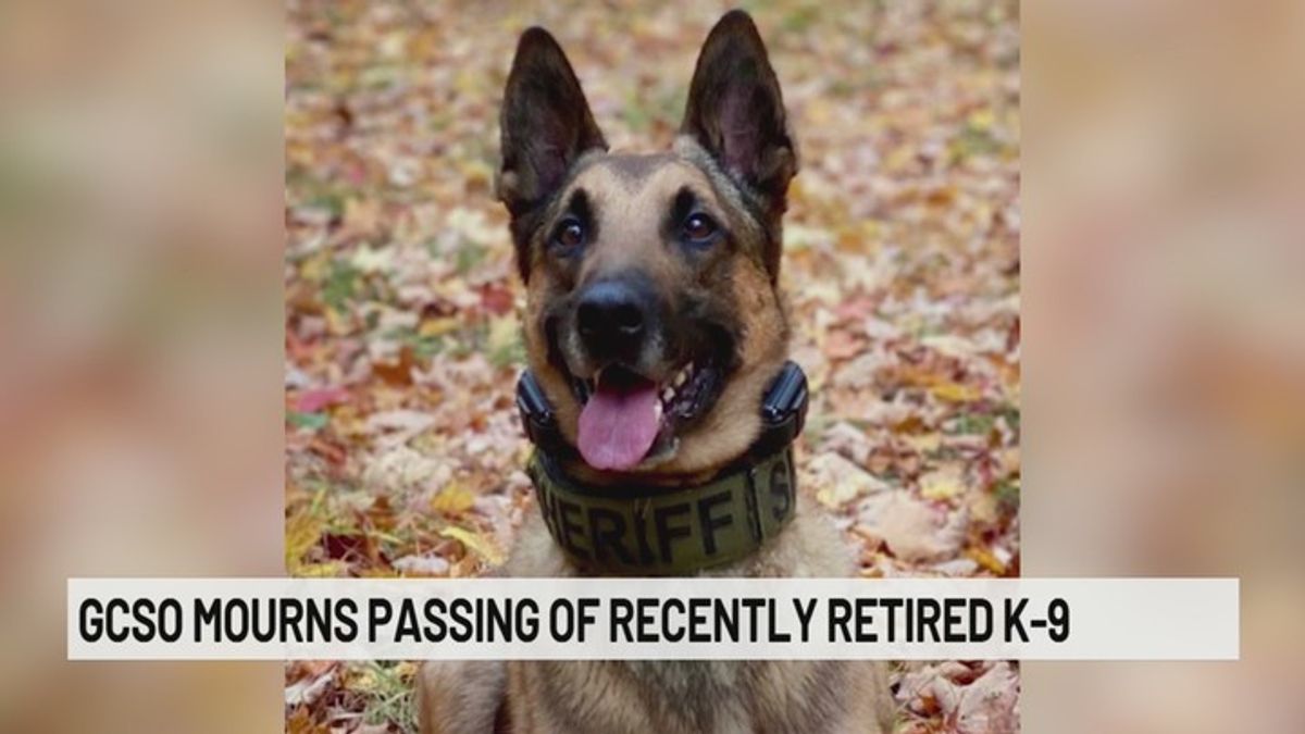 Greene County Sheriff's Office mourns passing of recently retired K-9 ...