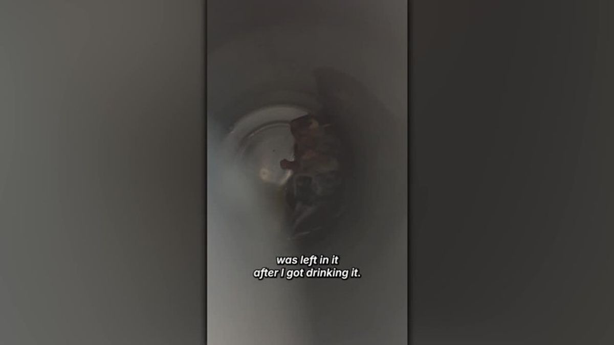 Norfolk sailor says he found a dead rat in his Monster Energy drink ...
