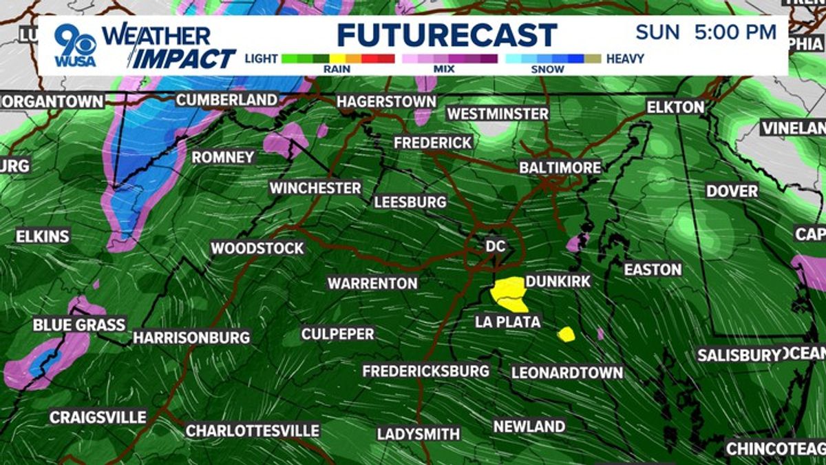 DC Area Weather | Feb. 15, 2026 - Grab your umbrella, rain is on the ...