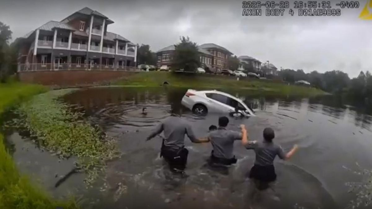 Fairfax Police form human chain to rescue driver from pond | Haystack News