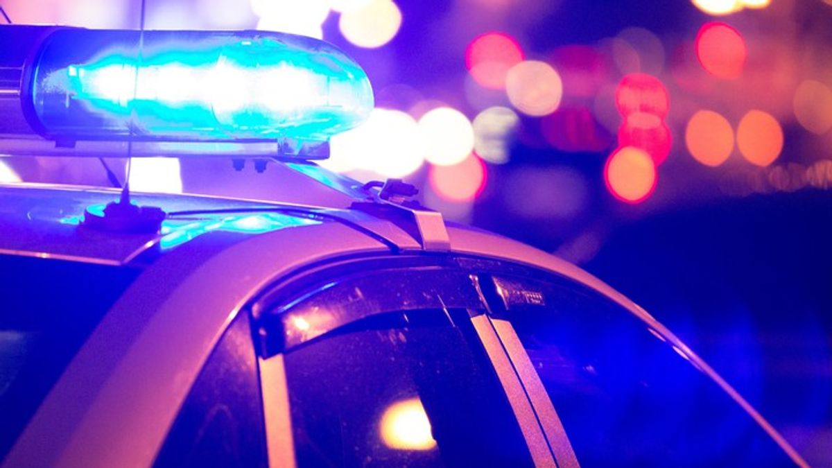 Man flees police in stolen Honda, arrested after multi-jurisdictional ...