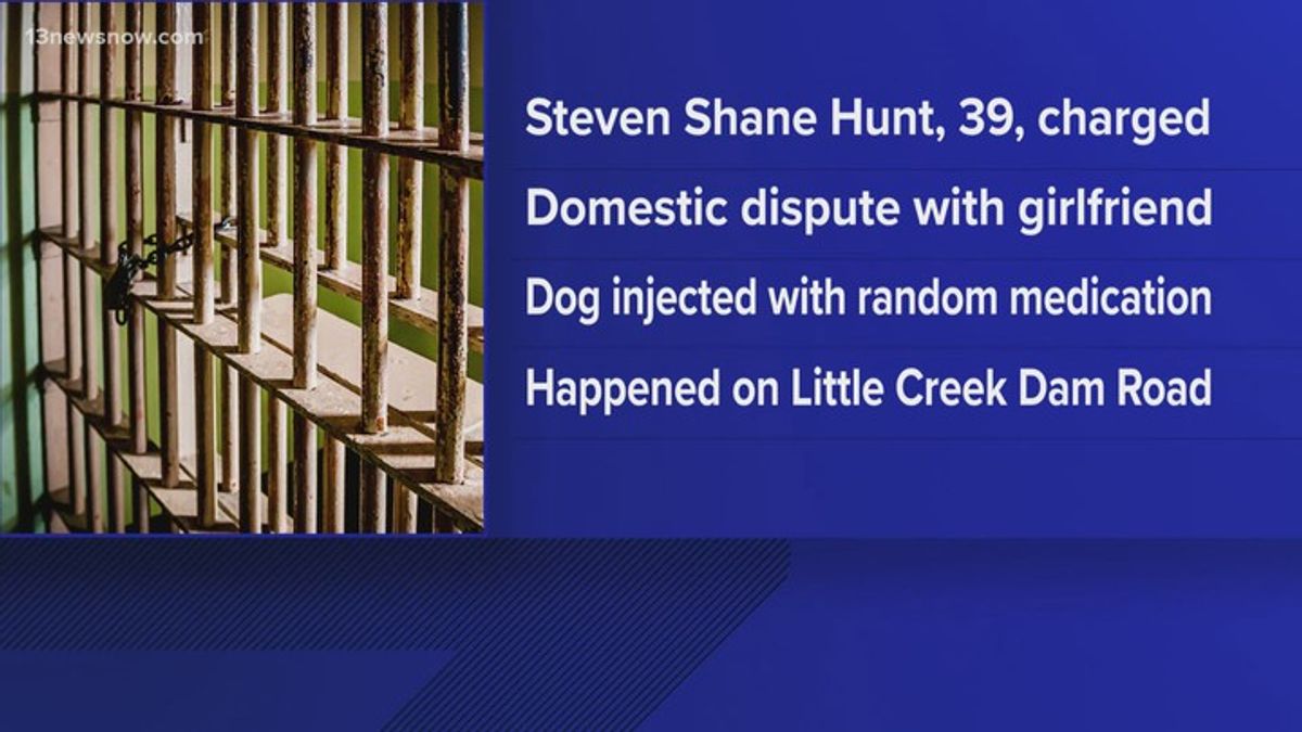 Toano man charged in connection with death of girlfriend's dog ...