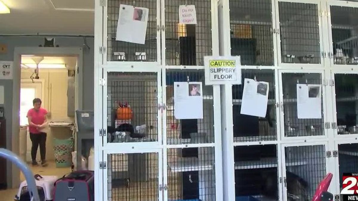 Madison-Greene Humane Society no longer facing eviction | Haystack News
