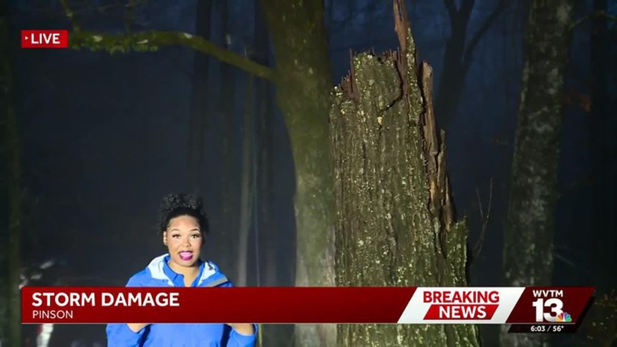WVTM 13's Kayla Davis shows how powerful winds split a massive tree in ...