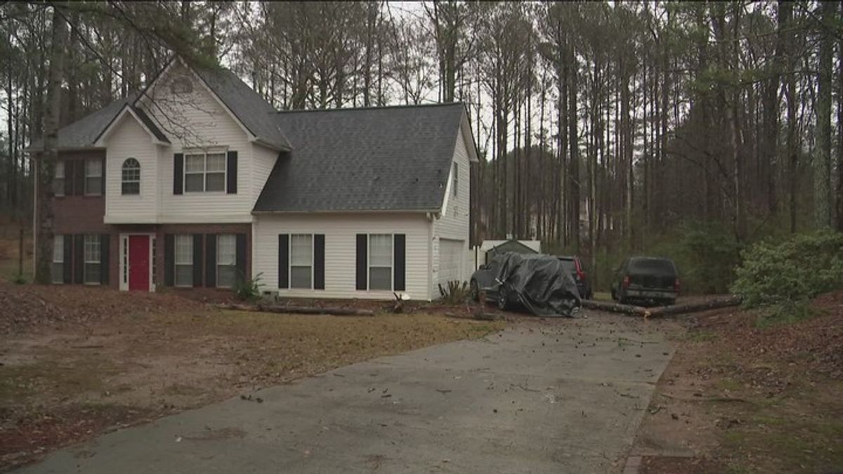 Man hospitalized after tree falls on car | Haystack News