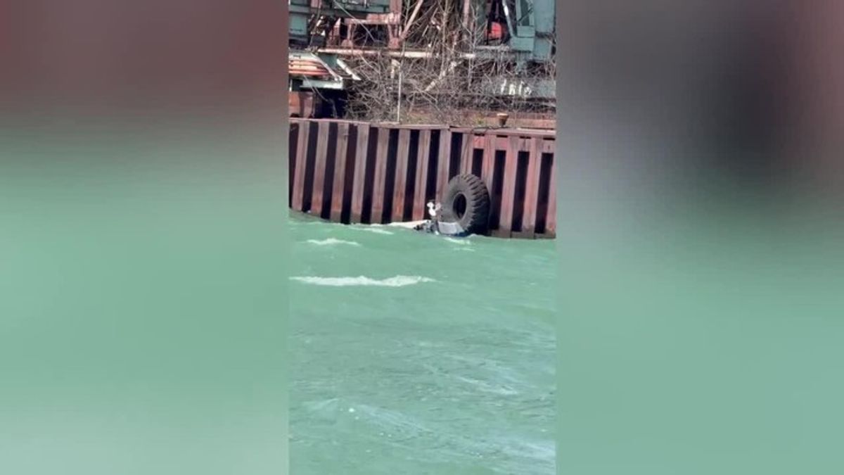 Video shows boat overturned in the Detroit River | Haystack News