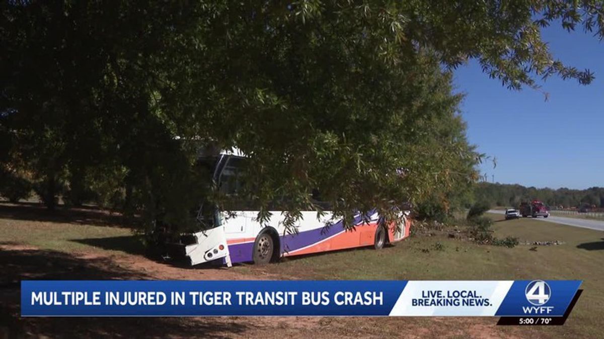 Tiger Transit bus involved in crash; injuries reported | Haystack News