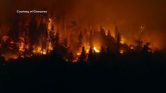 Video Thumbnail abcnews