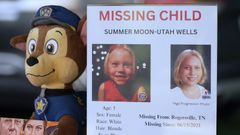June 15, 2026, marks 5 years since Summer Wells disappeared ...