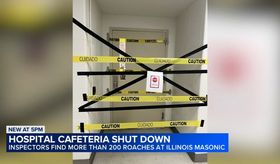 Cockroach infestation leads to suspension of Chicago hospital cafeteria ...
