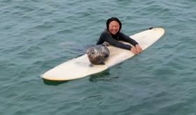 adorable-baby-seal-shows-surfing-skills-thumbnail