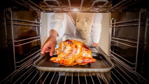 Does chicken cause cancer? | Haystack News