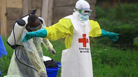 Ebola death toll passes 200 in DR Congo from 875 confirmed cases