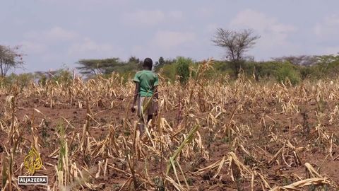 Uganda drought: Hunger crisis looms amid worst drought in decades