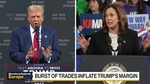 Trump, Harris Ramp Up Election Campaigns as Nov. 5 Nears | Haystack News