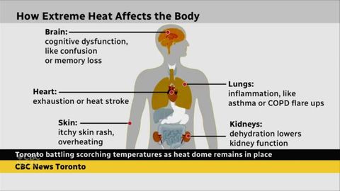 How does extreme heat affect your body? | Haystack News