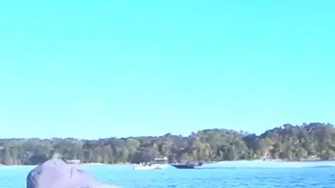 Georgia man indicted in fatal boat crash in Alabama | Haystack News