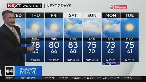 Miami Weather for Wednesday 2/14/2024 12PM | Haystack News