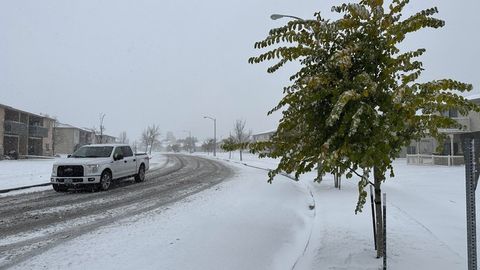 Cheddar Weather: Some U.S. States to See Snow This Weekend | Haystack News