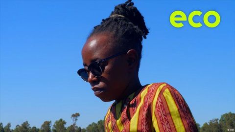 How a Zimbabwean chef is challenging meat culture