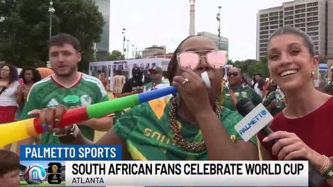 South African fans celebrate World Cup