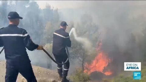 Wildfires hound Tunisia, Algeria and Morocco