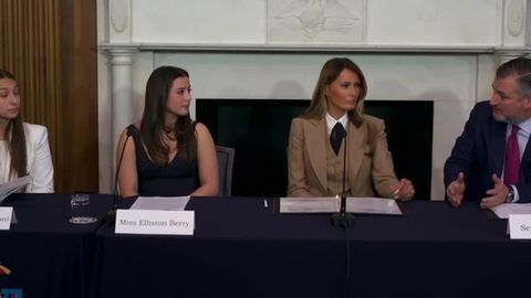 Melania Trump pushes for passage of anti-revenge porn bill | Haystack News