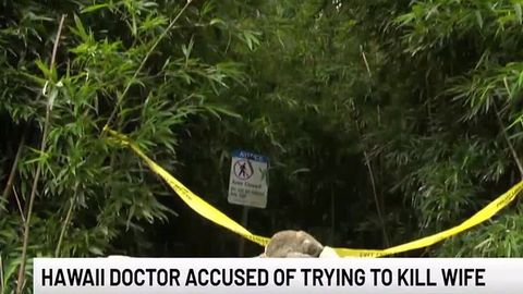 Hawaii doctor accused of trying to kill wife | Haystack News