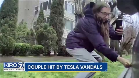 FBI launches Tesla Task Force, Seattle couple hit by vandals | Haystack ...