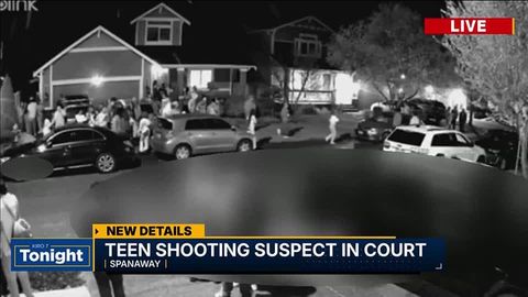 Two teens dead in house party shooting, teen suspect in court ...