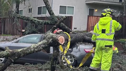 Storm wreaks havoc across Bay Area: fallen trees, flooded roads, power ...