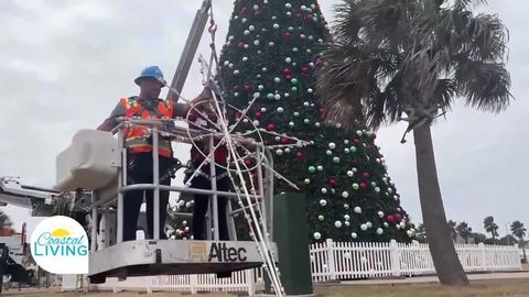 Christmas In Downtown Corpus Christi - H-E-B Christmas Tree Lighting