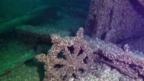 140-year-old 'ghost ship' found in Lake Michigan | Haystack News