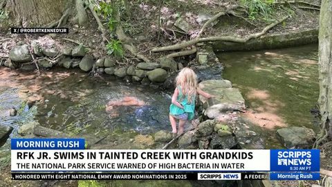 RFK Jr swam in a sewage-tainted creek with his grandkids | Haystack News