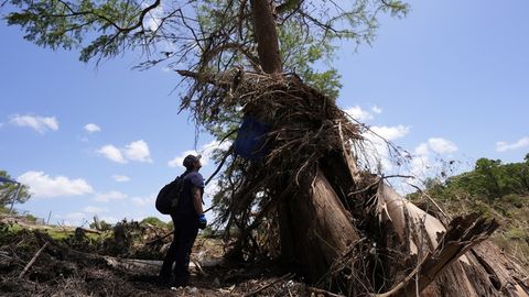 FEMA's former administrator explains how its funding helps after