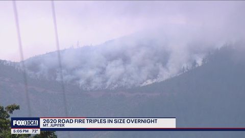 2620 Road Fire triples in size overnight near Hood Canal | Haystack News