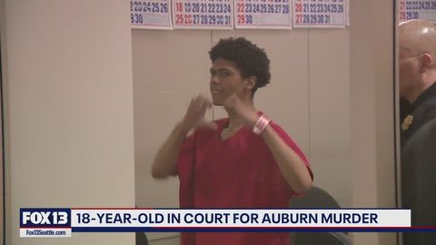 18-year-old appears in court for Auburn murder | Haystack News