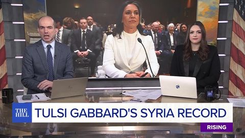 'Tulsi Gabbard exposed Jake Sullivan's Al-Qaeda email during Senate