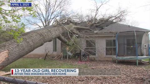 Teen on the mend after tree falls into house during storm | Haystack News
