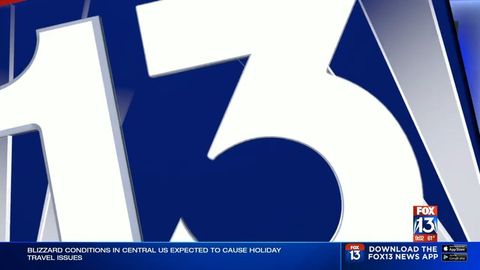 Man dead after overnight shooting at Oakhaven grocery store, police say ...